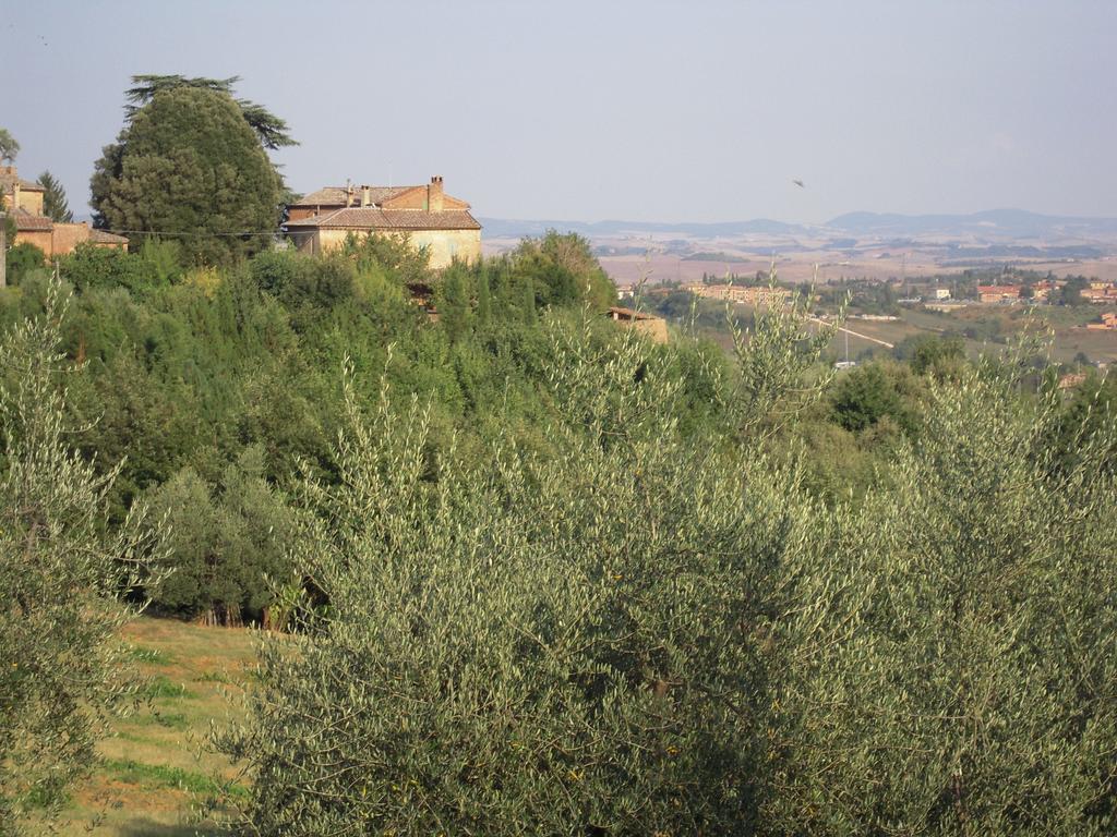 Villa Caprera Siena Exterior photo